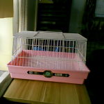 �i�J����