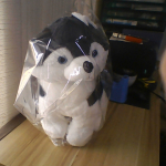 �i�J����