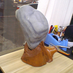 �i�J����