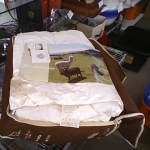 �i�J����