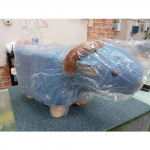 �i�J����